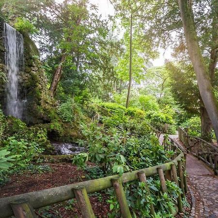 Calme Appart Renove Jardin Des Plantes Busca تولوز المظهر الخارجي الصورة