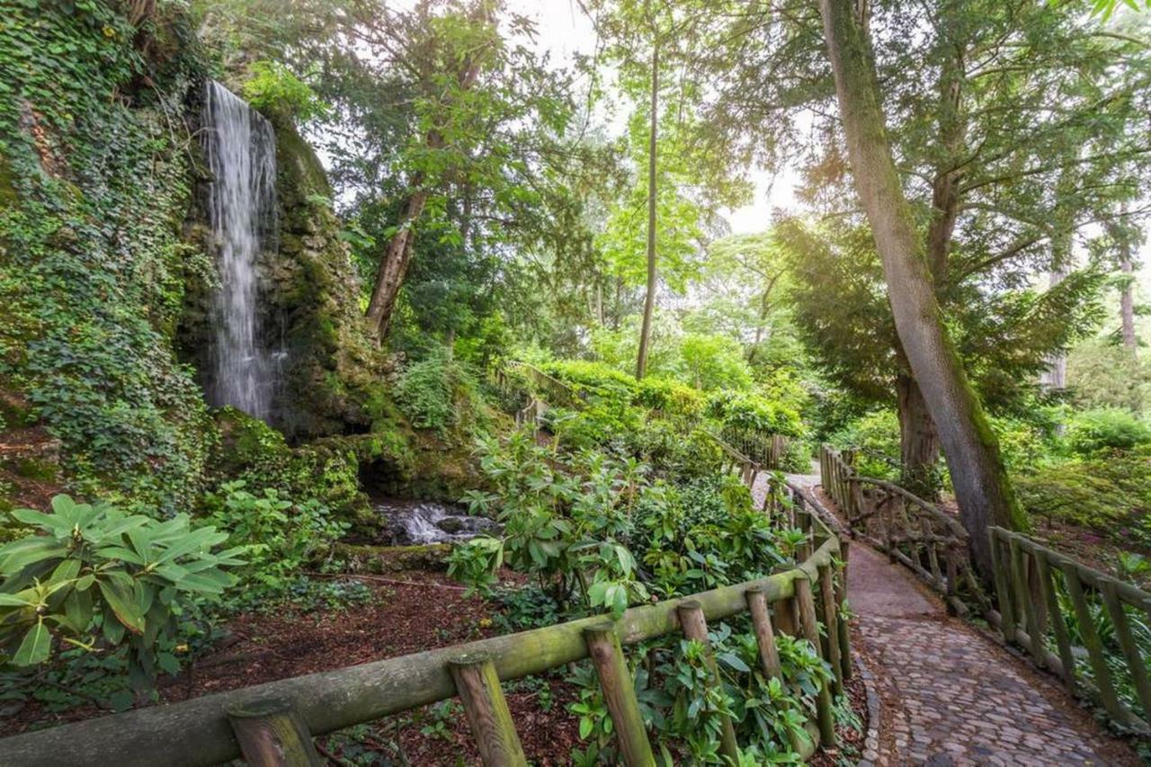 Calme Appart Renove Jardin Des Plantes Busca تولوز المظهر الخارجي الصورة
